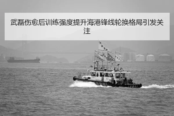 武磊伤愈后训练强度提升海港锋线轮换格局引发关注